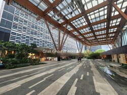 Mapletree Anson (D2), Office #456334341